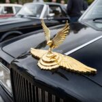Gold Metal Eagle Flying Car bonnet Logo
