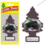 Orginal USA Little Trees Car Hanging Air Freshener (1pcs) - Image 4